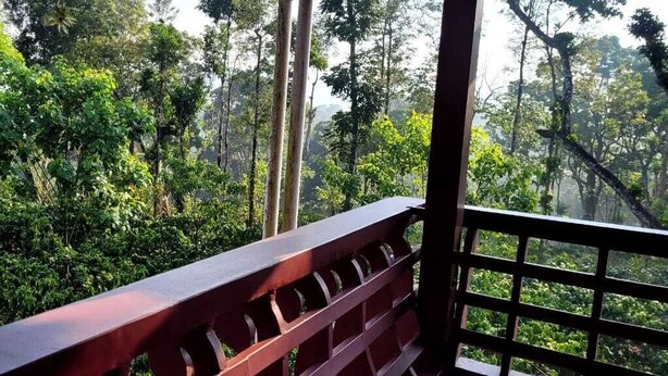 Eine Holzterrasse mit Metallgeländer, die auf einen dichten Wald blickt.