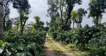 Heights Farm Stay - Coffee Estate Stay