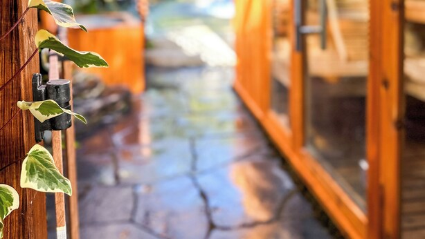 Una pérgola de madera con plantas trepadoras, un camino de piedra y una puerta de cristal que da a una habitación.
