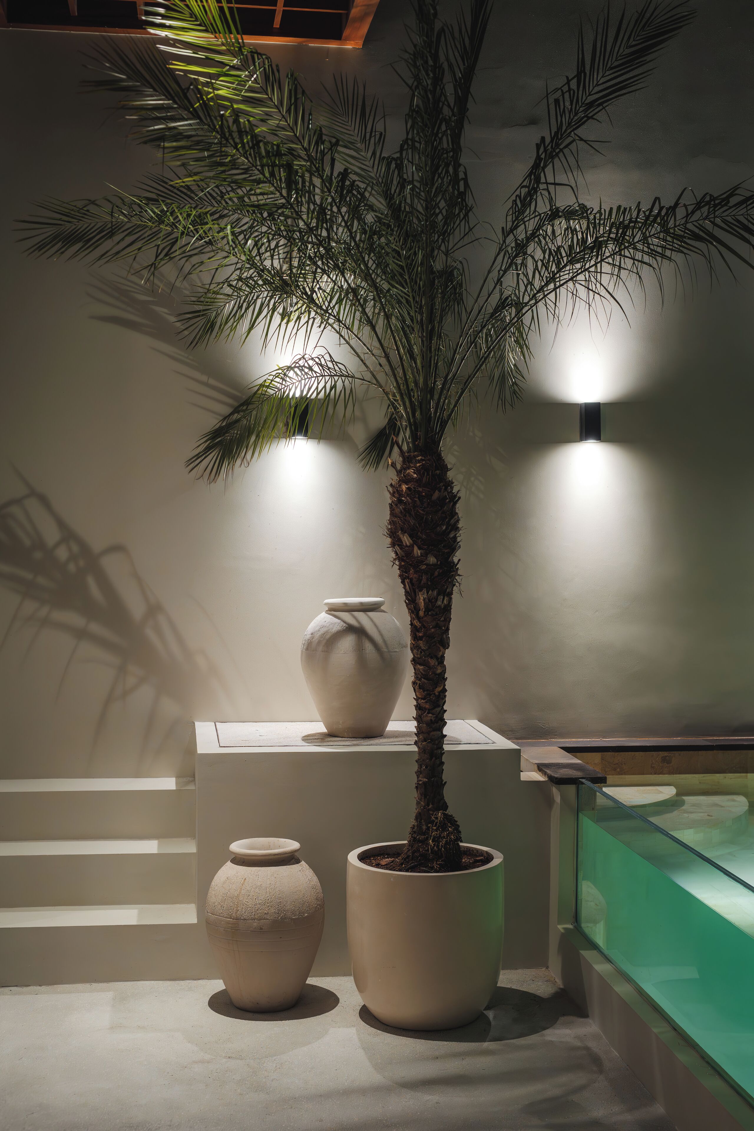 A potted palm tree in a large pot, a smaller pot, and a vase on a platform with a glass railing.