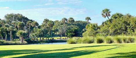 Campo de golf con un obstáculo acuático, rodeado de palmeras y follaje denso.