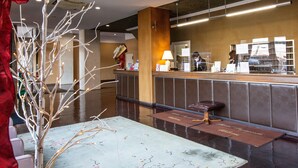 A hotel reception area with a modern design, including a reception desk, seating area, and decorative elements like a tree with lights.