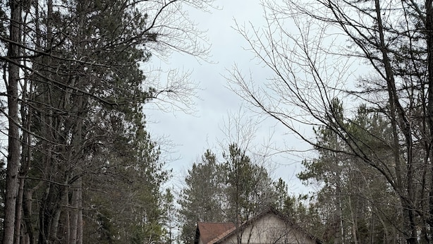 A rural house surrounded by trees with a dirt path leading to it.
