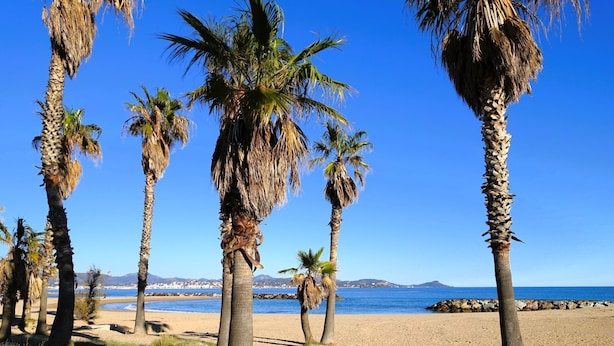 A beach with palm trees and a clear blue sky. - Azur Cottages by Interhome (Saint Aygulf)
