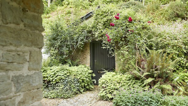 A stone wall leading to a door surrounded by lush greenery and ferns. - Bull Hollow Cottage -  Shrewsbury , Shropshire (Shrewsbury)
