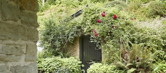 Bull Hollow Cottage -  sleeps 2 guests