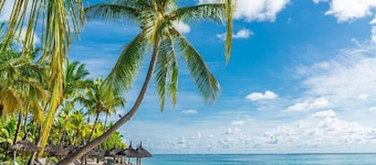 House, 6+ persons. White-Sand Beach - Grand Bay 20mins. Special Offer Discount