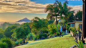 A well-maintained garden with a variety of plants and a clear view of a mountain in the background.