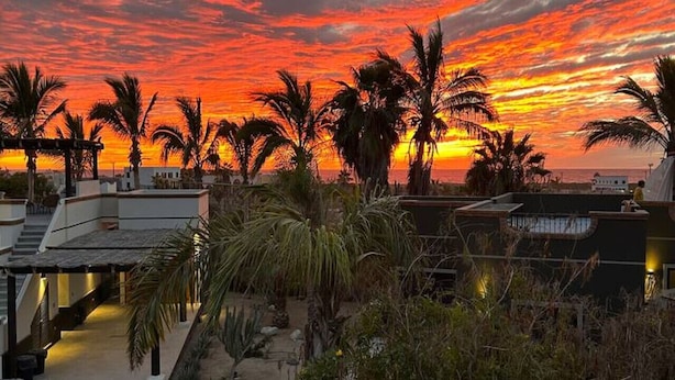 A rooftop garden with palm trees and a sunset view. - Ocean/Mountain Views home in El Pescadero (El Pescadero)
