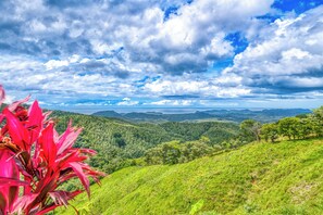 A lush green landscape with rolling hills and a distant view of the ocean under a partly cloudy sky.
