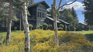 Eksteriør