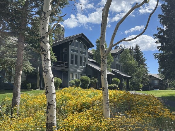 Exterior - Family Friendly Condo w Views Spa 608 (Mammoth Lakes)