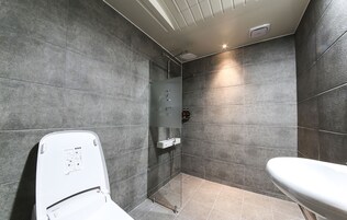 Secador de pelo, excusado o inodoro con bidet electrónico, toallas