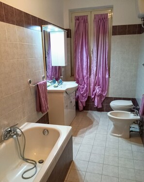 Shower, hair dryer, bidet, towels