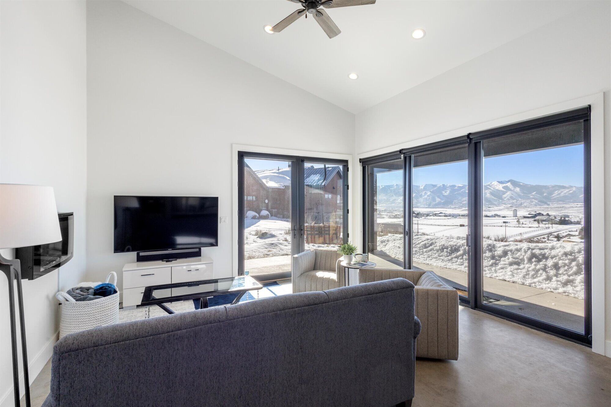 Smart TV, chimenea y libros 