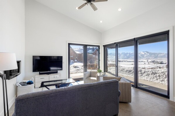 Smart TV, fireplace, books