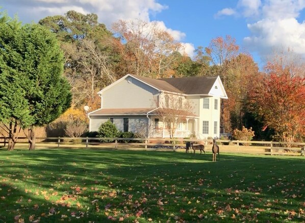 Exterior - Sunset in Sunnywood: A peaceful retreat with a PRIVATE POOL! (Chincoteague)