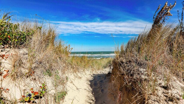 A pathway leading to a beach with a clear view of the ocean and a blue sky.