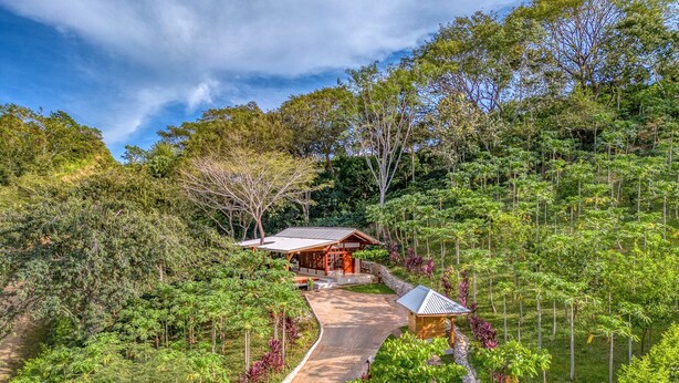 Unclassified image, 1 of 9, button - The Coffee House - Charming Studio with Coffee Plantation Views (Samara)