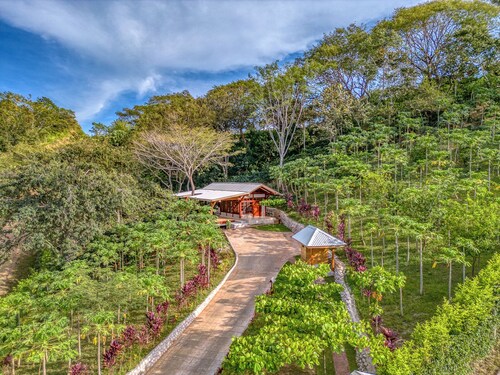 The Coffee House - Charming Studio with Coffee Plantation Views