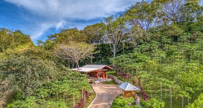 The Coffee House - Charming Studio with Coffee Plantation Views