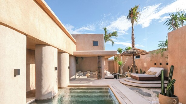 A pool area with a lounge, palm trees, and a cactus plant. - Pulau Alam at Bocoa Villas (Canggu)