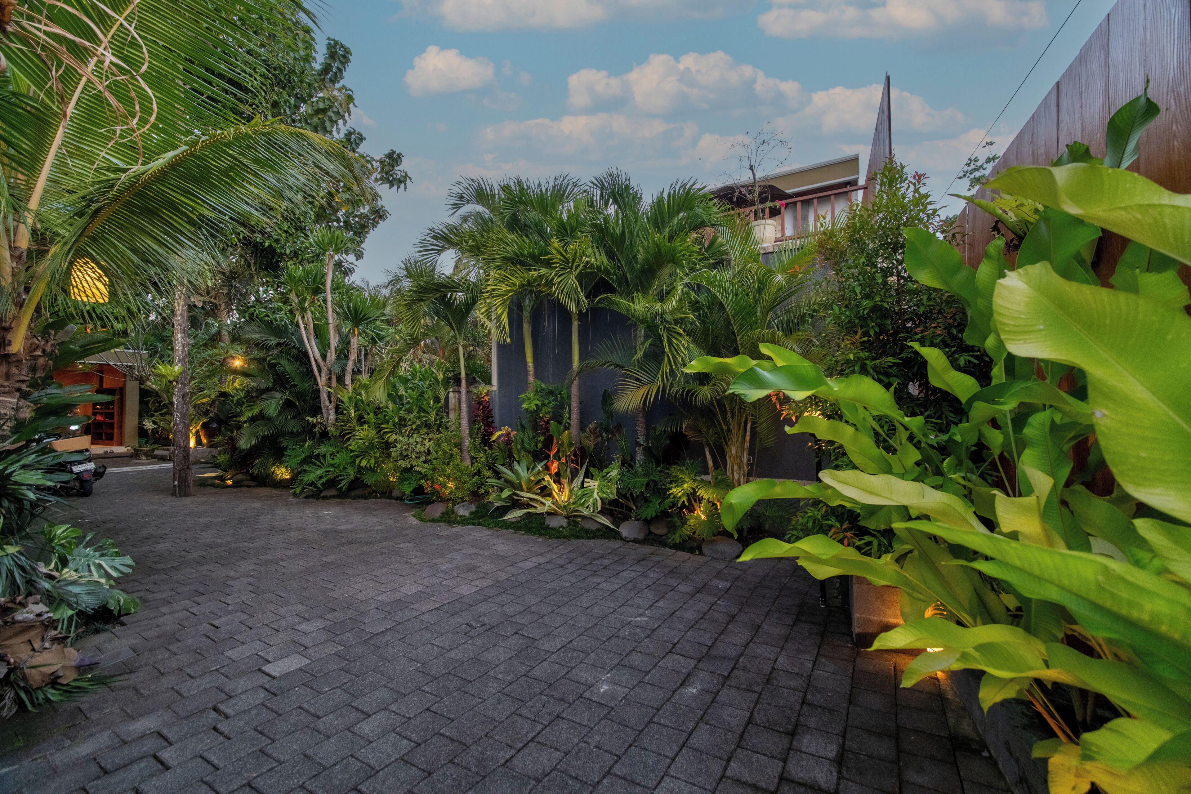 A paved courtyard with tropical plants and a building in the background.