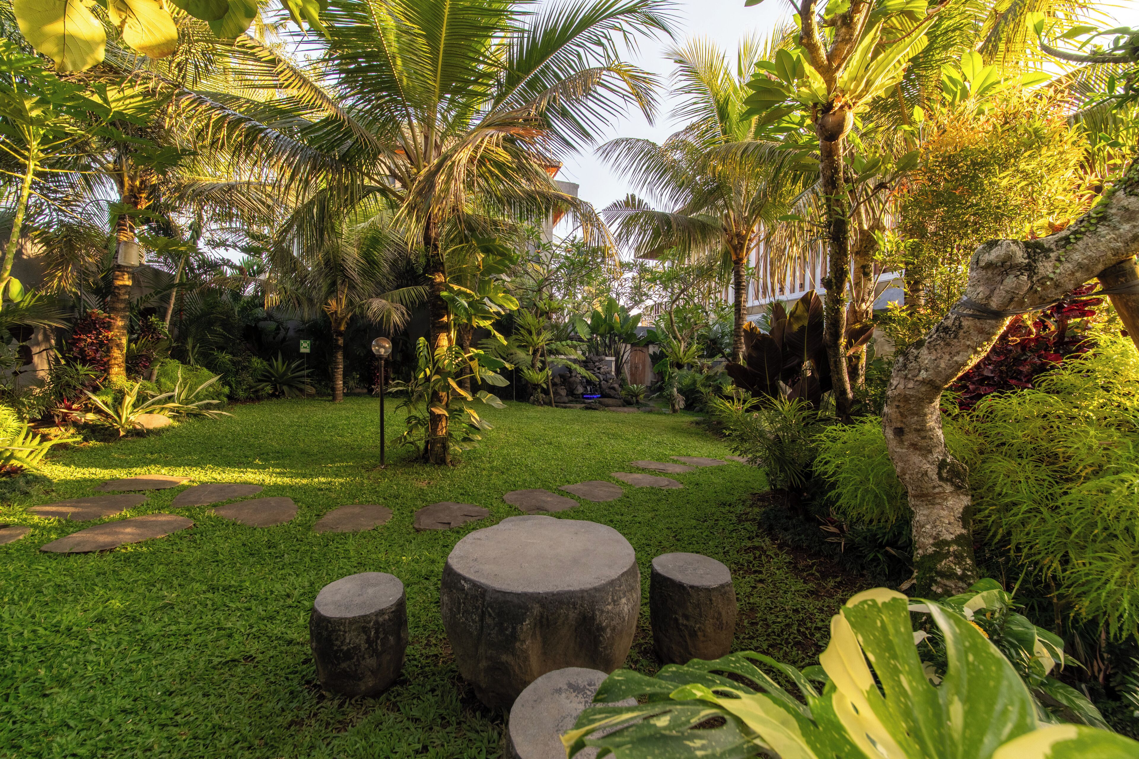 A tropical garden with a stone pathway and palm trees.