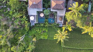 Pemandangan dari properti