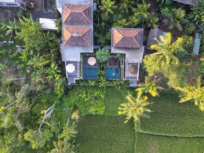 View from property - Villa Viandra (Ubud)