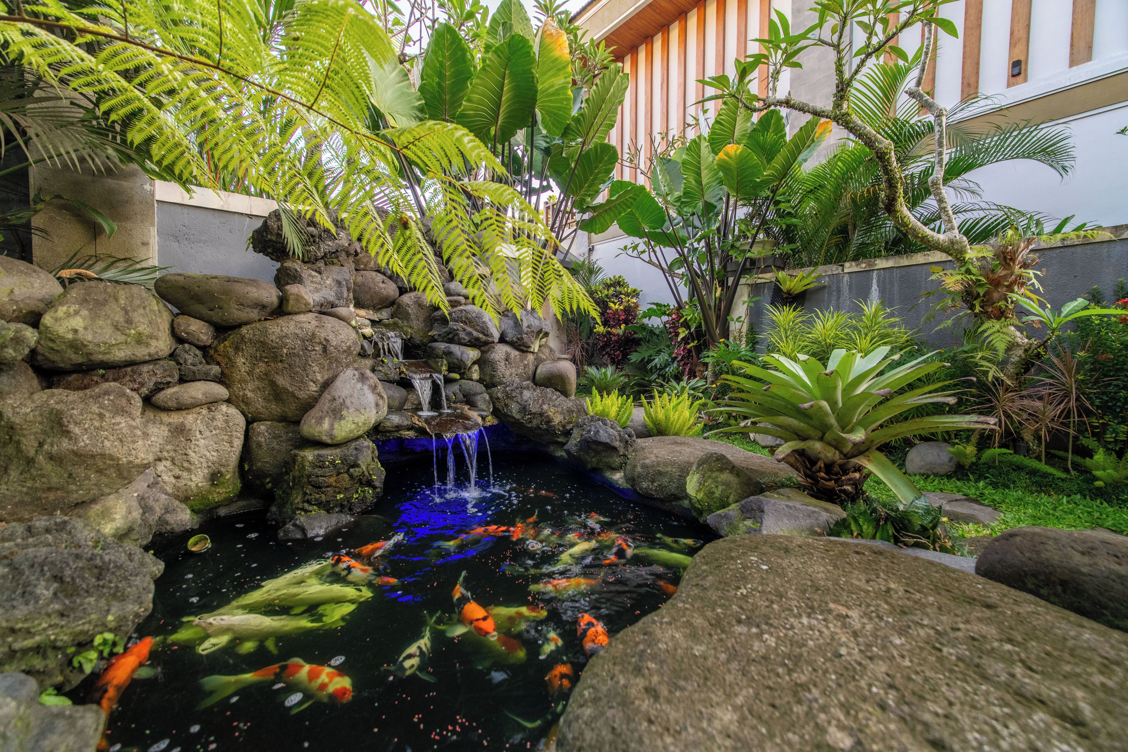 Jardim