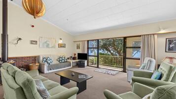 Fernseher, Kamin, DVD-Player, Arbeitsbereiche