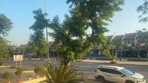 A white SUV parked on a city street with a palm tree and potted plants in the foreground. - Duc Chung Hotel Ha Long (Bai Chay)