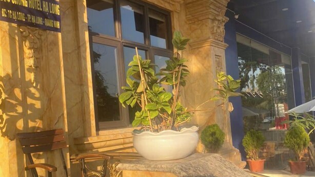 A hotel entrance with a stone facade, a large window, and a bench. - Duc Chung Hotel Ha Long (Bai Chay)