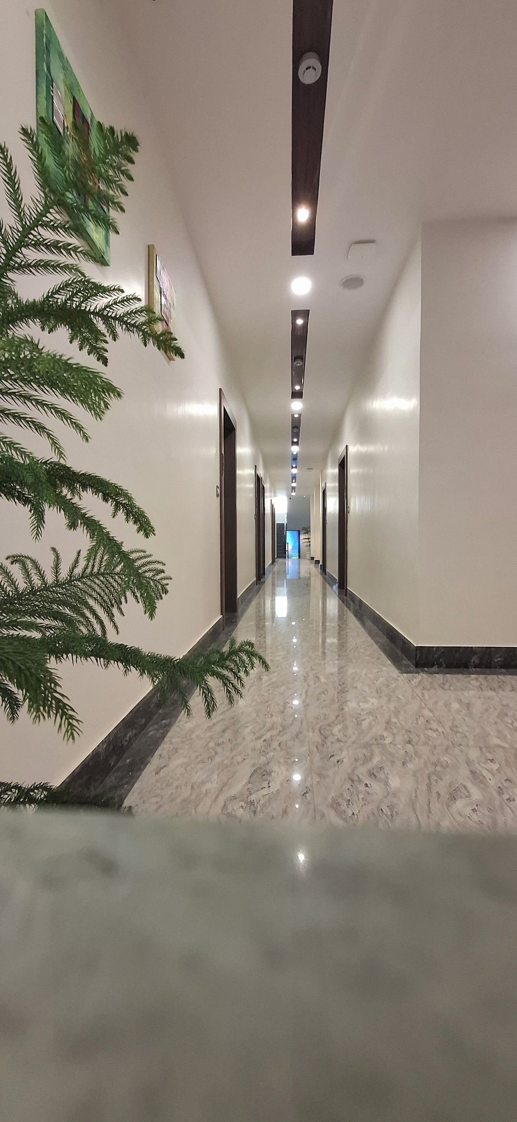A hotel corridor with a marble floor, green decorative plants, and doors leading to rooms.