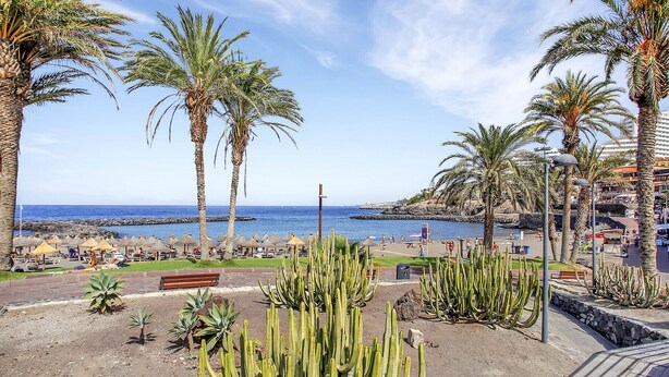 A coastal view with palm trees, a beach, and a rocky shoreline. - Ocean Touch Studio, Pool, Wi-Fi, Near the Beach (Playa de Las Americas)