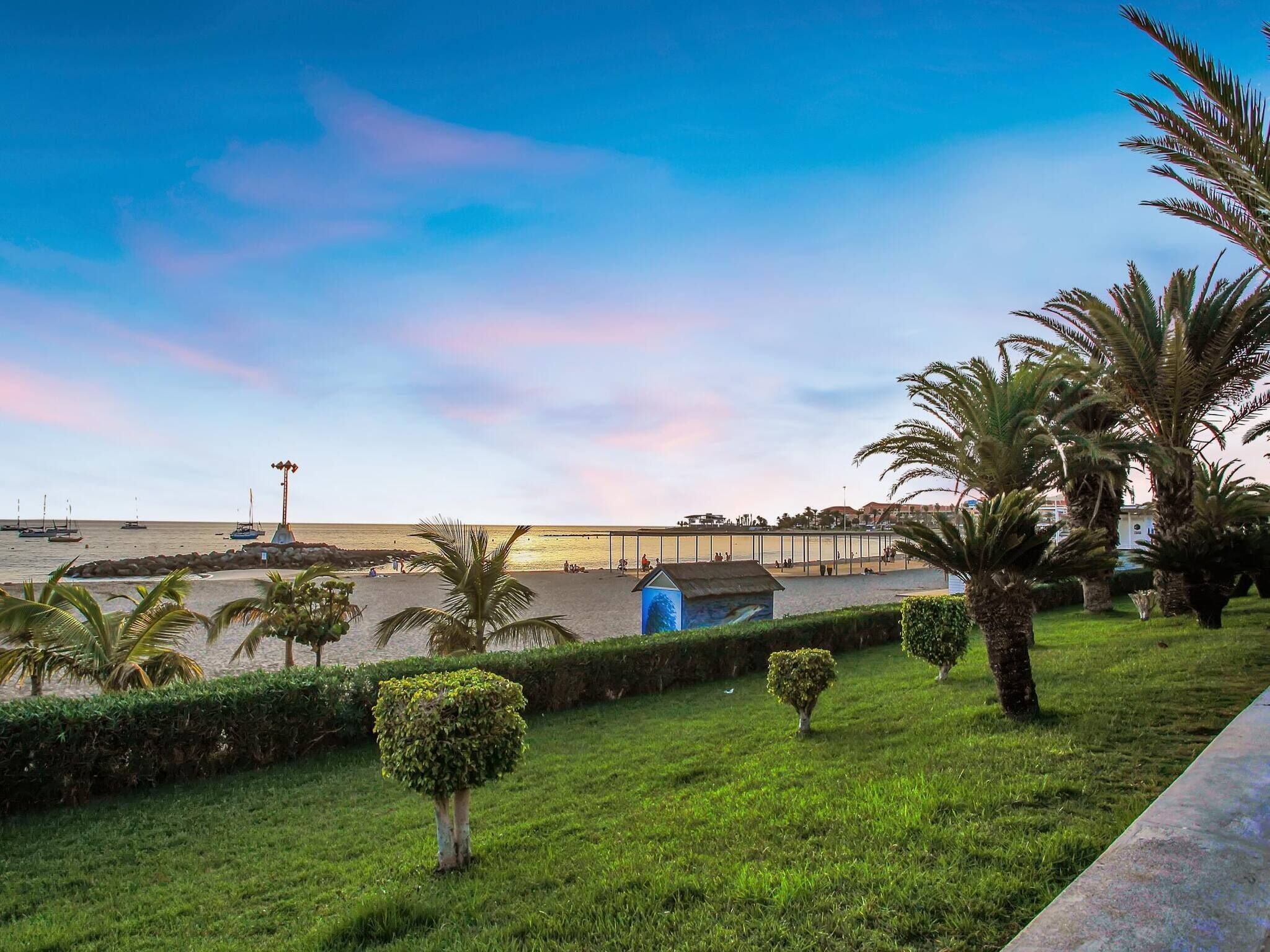 A coastal view with a grassy area, palm trees, and a blue building.