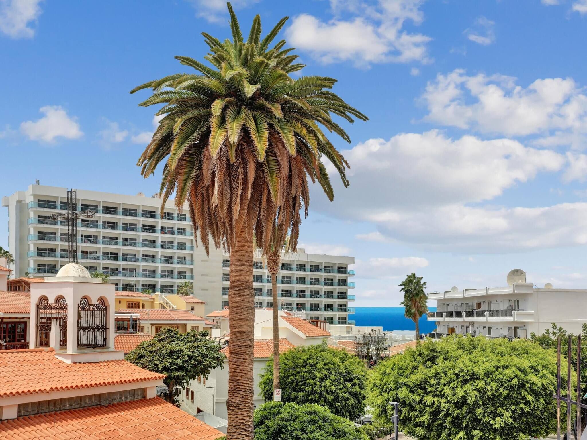 Eine hohe Palme vor einem modernen Gebäude mit Balkonen und blauem Himmel.