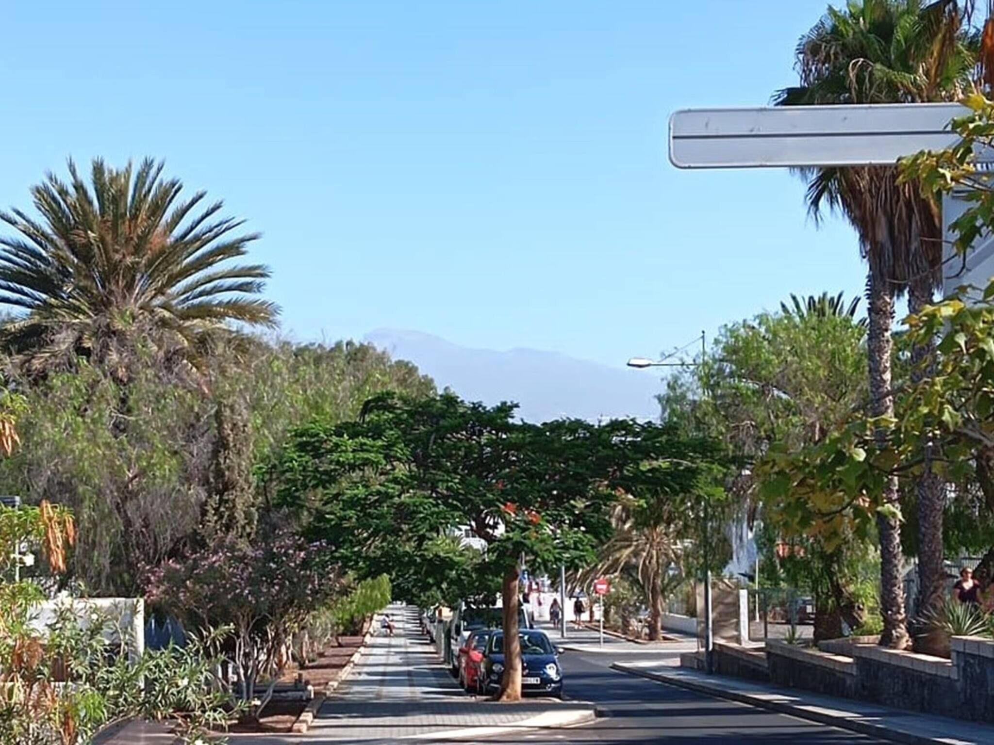 A street lined with palm trees and parked cars, leading to a mountain in the distance.