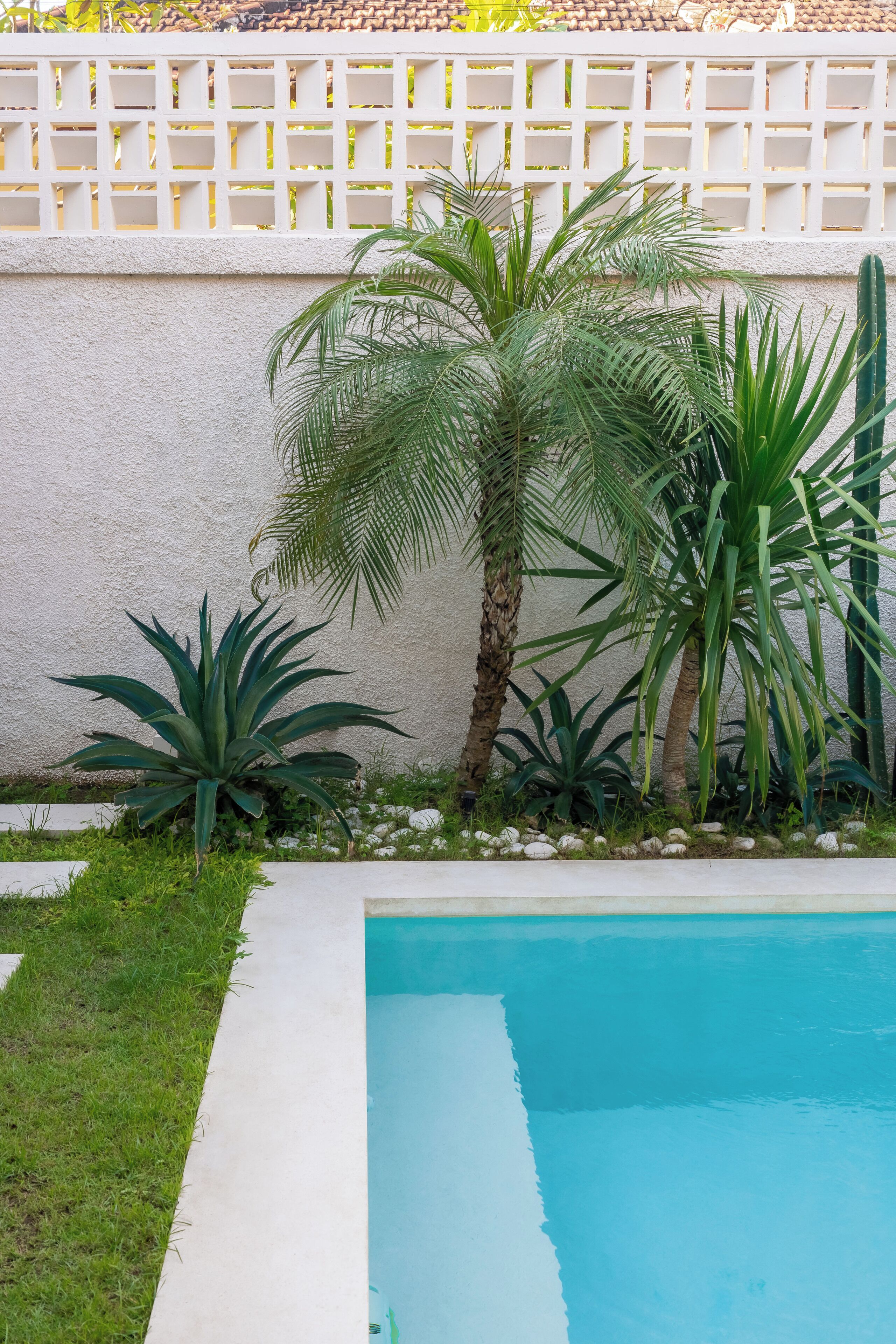 A swimming pool surrounded by various plants and a white fence.