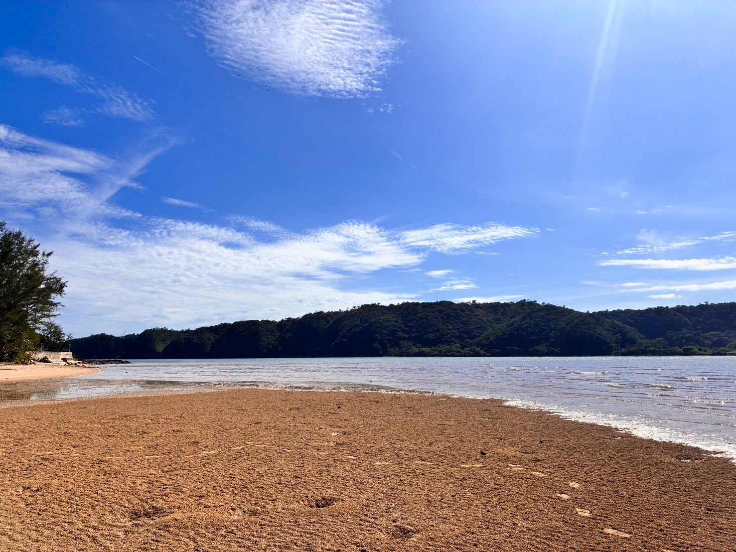 A beach with a clear sky, calm water, and a forested hill in the background.