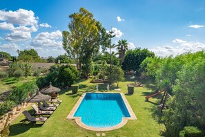 Une piscine entourée d’un jardin luxuriant, avec de la pelouse, des arbres et un palmier.