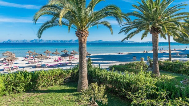 A beach with palm trees, sun loungers, and umbrellas. - Bon Estar - Apartment In Port D'alcúdia (Port D'alcúdia, Illes Balears)