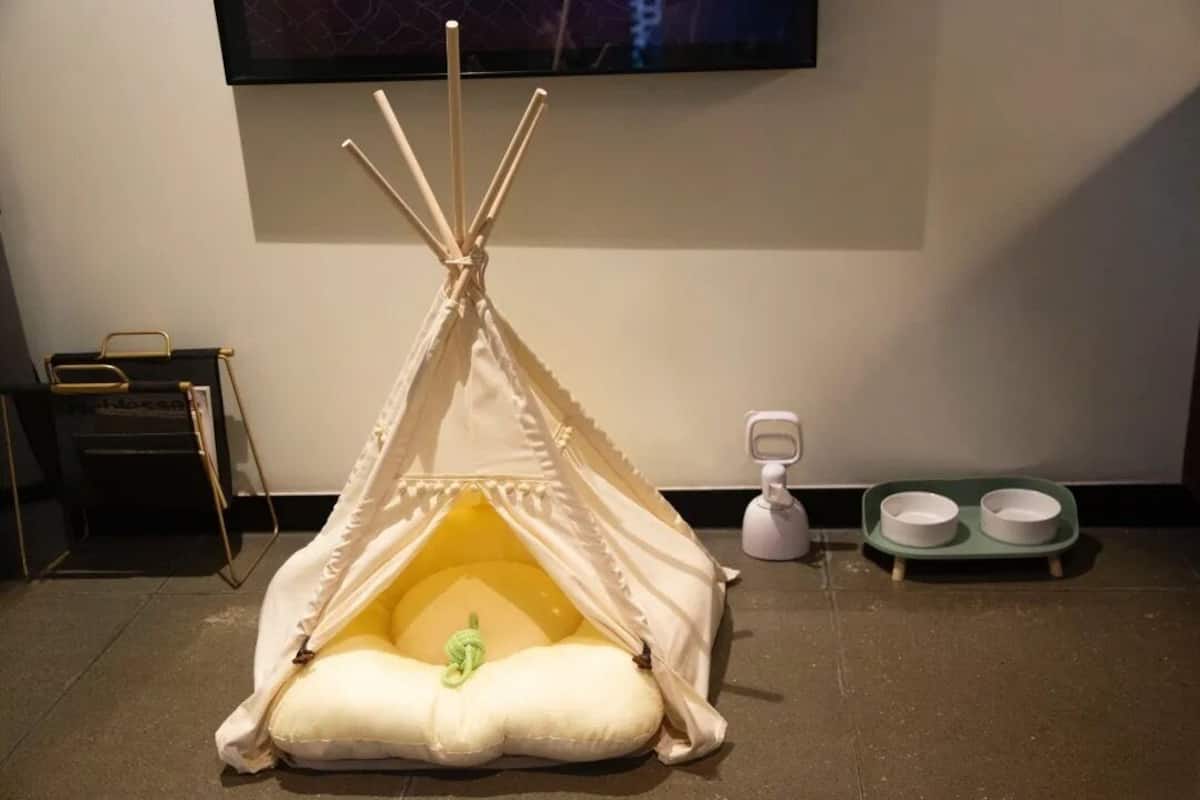 A room with a white teepee-like structure with a cushion inside, a television mounted on the wall, and a green pet feeding station with bowls.