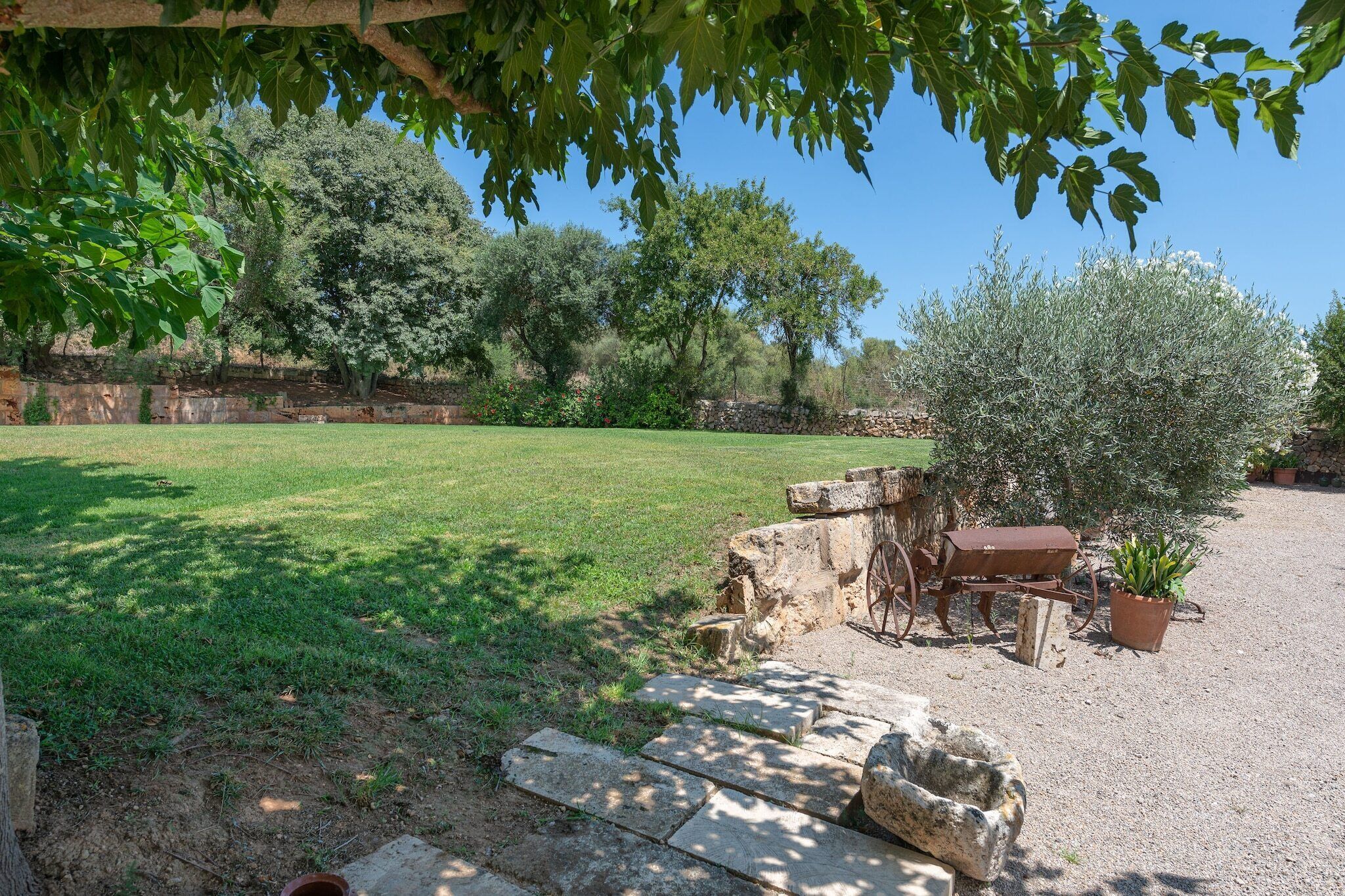 A grassy outdoor area with a stone bench, a wheelbarrow, and a potted plant.