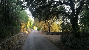 A narrow road flanked by stone walls and trees, leading into a forested area.