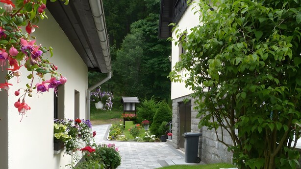 A narrow pathway leading to a building with a stone facade, surrounded by lush greenery and flowering plants.