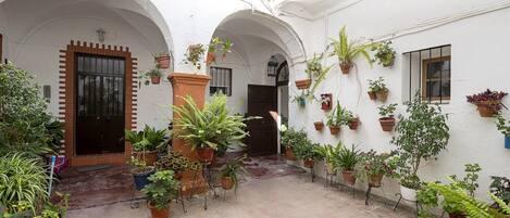 Àrea exterior de l'allotjament