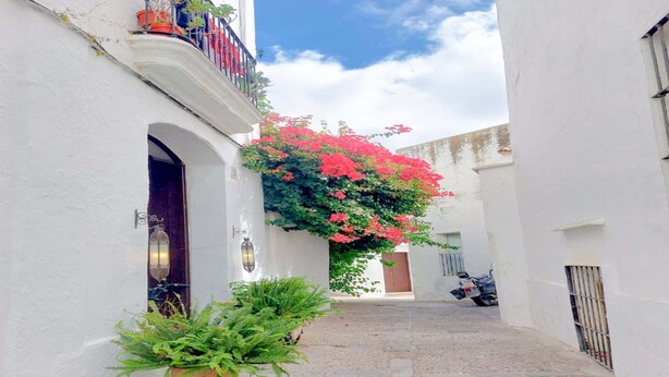 A narrow alleyway with white walls, a potted plant, and a motorcycle parked on the right.
