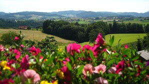 A rural landscape with rolling hills, a clear sky, and a foreground of vibrant flowers.